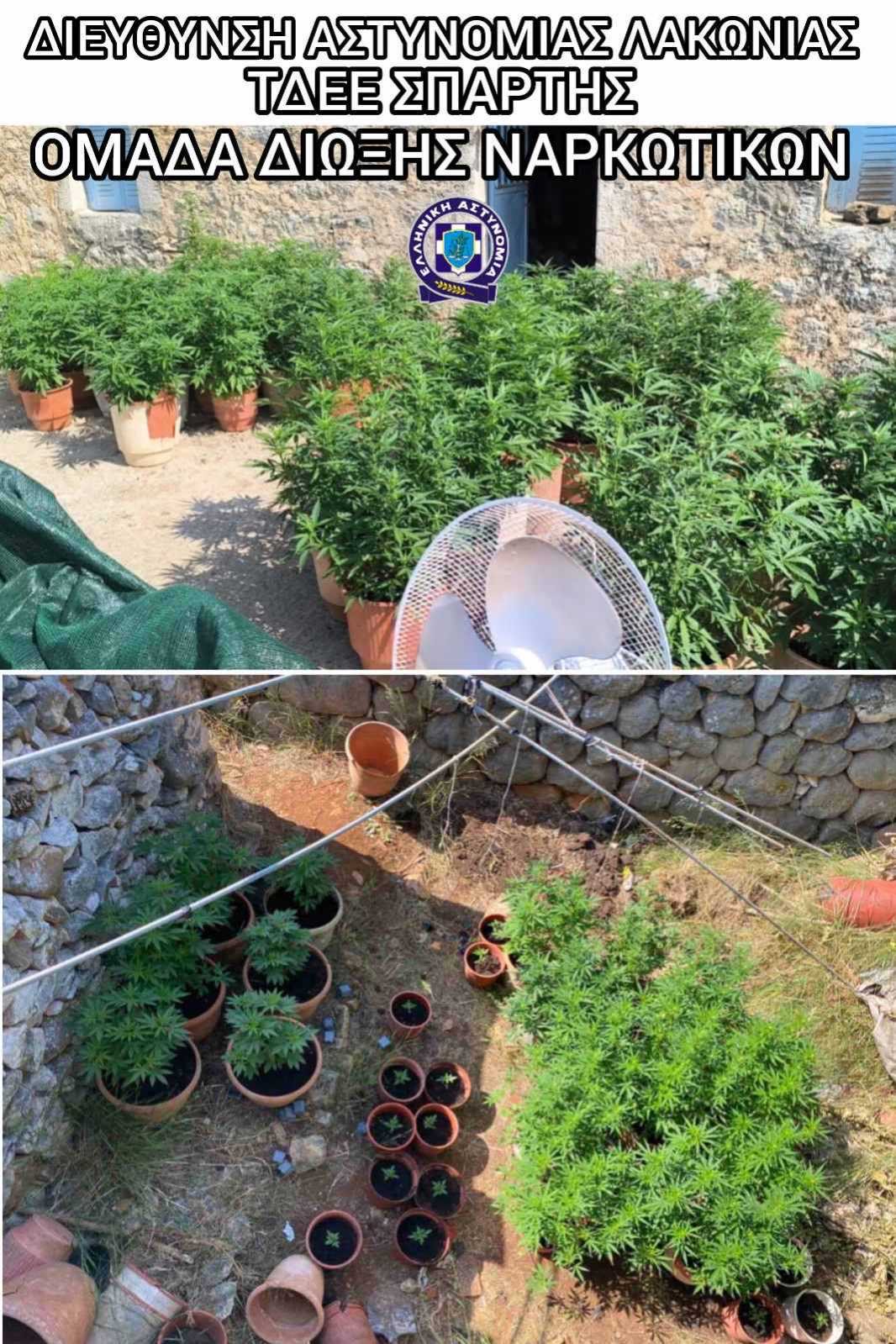 22.6.2025-lakonia-narkwtika-opla-syllipsi_2.jpeg