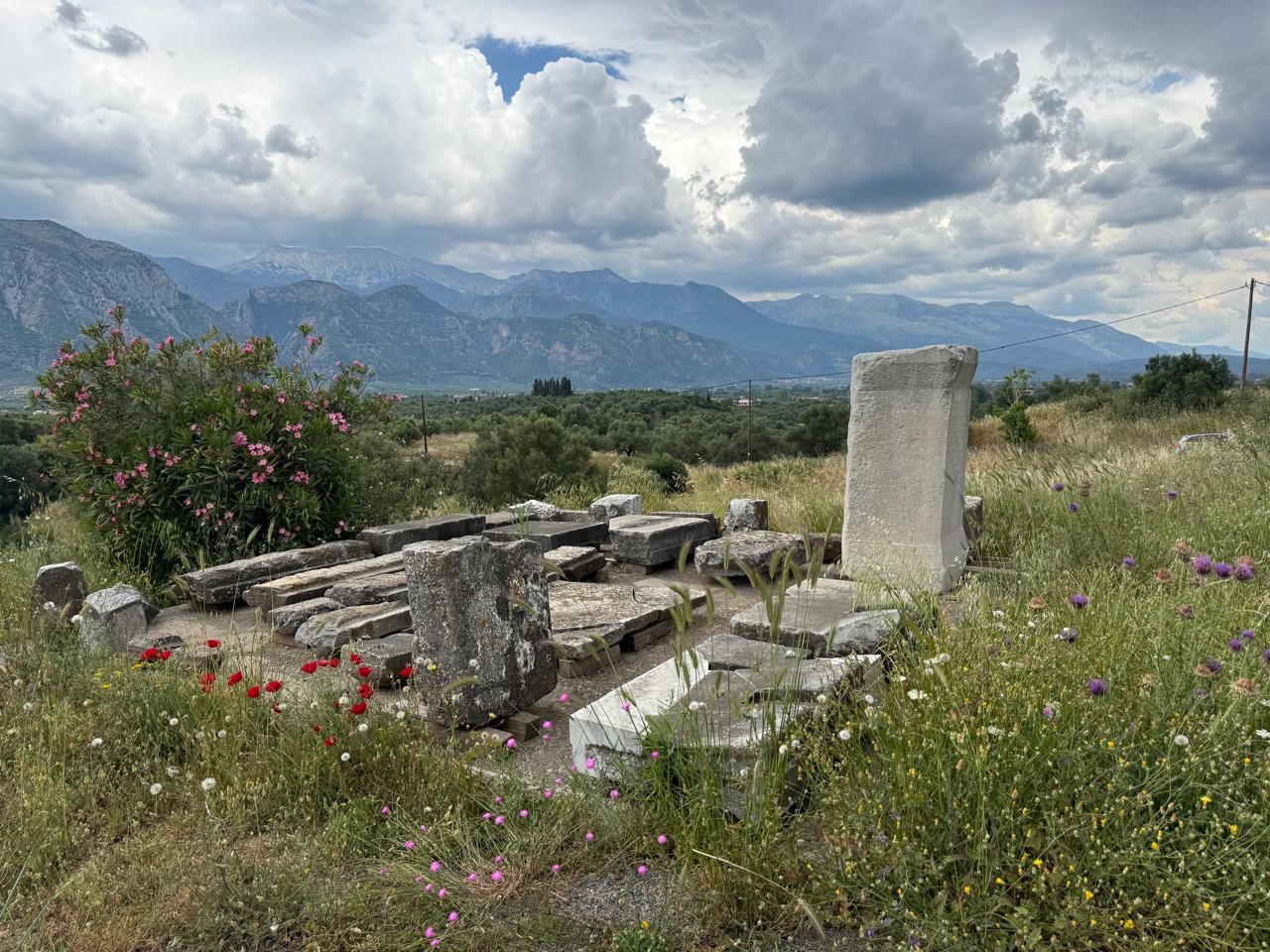 706474278_1297092019275987_5491689095076241976_n.jpg