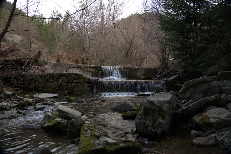 P1350290.jpg