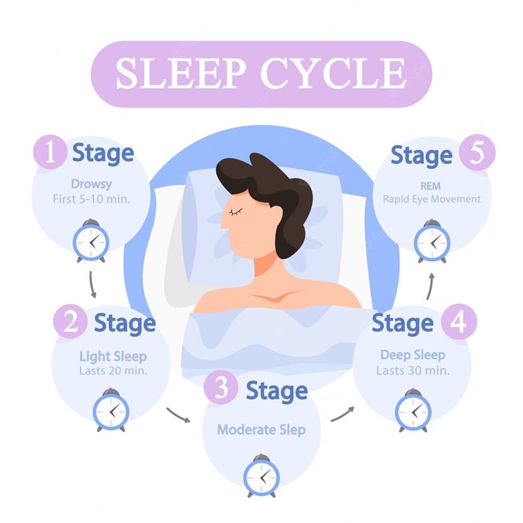 sleep-cycle-infographics-stage-sleep-during_277904-2220.jpg