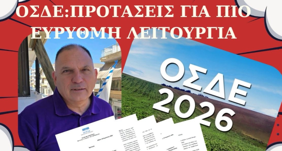 Ν. Κρητικός: Πρόταση για πιο εύρυθμη λειτουργία για το ΟΣΔΕ