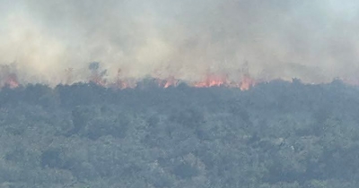 Δύο συλλήψεις για αγροτικές πυρκαγιές από αμέλεια σε Λακωνία και Αχαΐα