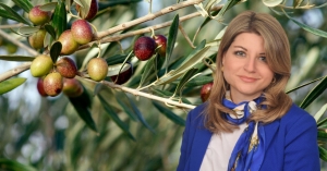 Ν. Γρηγοράκου: «Κίνδυνος απένταξης και απώλειας κοινοτικών πόρων για τους Έλληνες ελαιοπαραγωγούς»