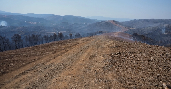 Ο απολογισμός των πυρκαγιών: Κάηκαν 55.540 στρέμματα σε Κύθηρα, Εύβοια, Αττική, Χανιά και Μεσσηνία