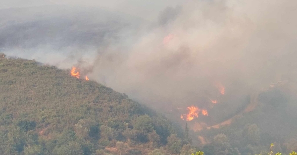 Πυροσβεστική: Σε ύφεση η φωτιά στη Λακωνία