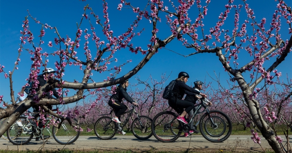 Καιρός: Μετά τον λιβανέζικο καύσωνα έρχεται βαλκανικό κρύο - Η ημερομηνία της ανατροπής