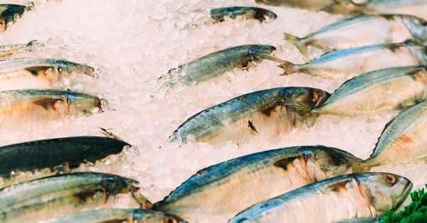 Αυτά είναι τα 2 πιο υγιεινά ψάρια