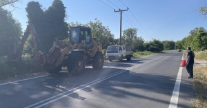 Εργασίες καθαρισμού και κοπής βλάστησης στην Ε.Ο. Τρίπολης – Σπάρτης από την Περιφέρεια Πελοποννήσου