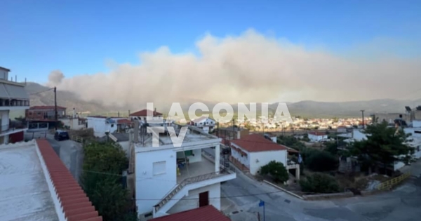 Πυρκαγιά στους Μολάους