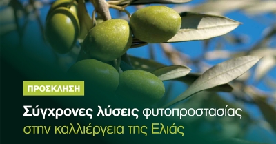 Παλαιοπαναγιά: Εκδήλωση με θέμα «Σύγχρονες λύσεις φυτοπροστασίας στην καλλιέργεια της Ελιάς»