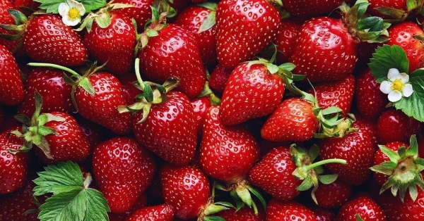 Δημοφιλές καλοκαιρινό φρούτο: Αυτό συμβαίνει όταν τρώτε φράουλες κάθε μέρα