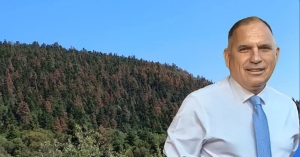 Ν. Κρητικός: Αναφορά υπόψη Υπουργού Περιβάλλοντος για την ανησυχητική ξήρανση ελάτων στον Ταΰγετο-Πάρνωνα