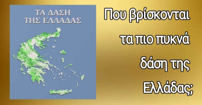 Που βρίσκονται τα πιο πυκνά δάση της Ελλάδας;