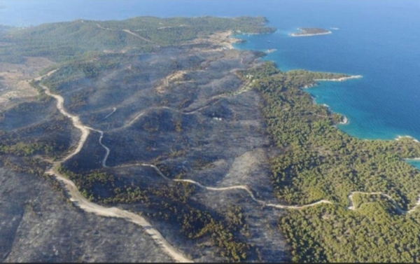 Μπίζνες με καμένα δάση στο Πόρτο Χέλι