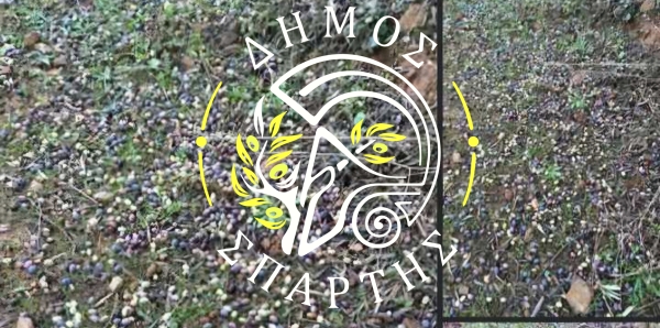 Δήμος Σπάρτης: Μέχρι 23 Ιανουαρίου η υποβολή δηλώσεων στον ΕΛΓΑ για την πτώση αθηνολιάς