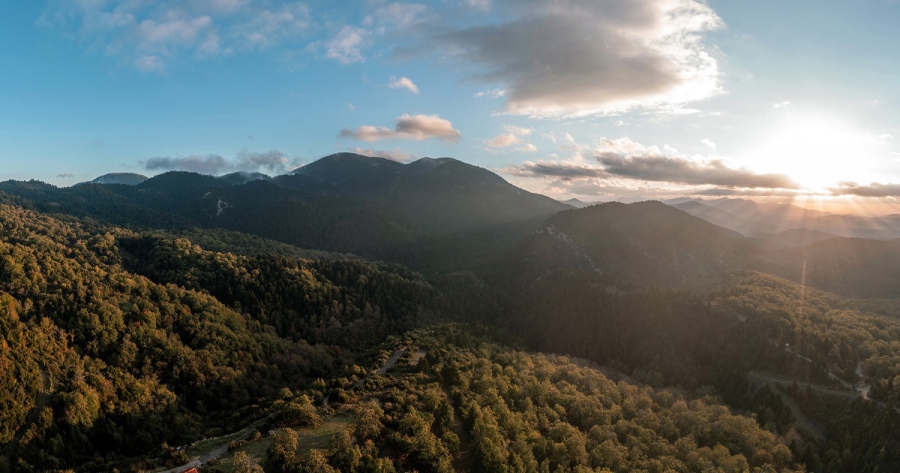 Παγκόσμια Ημέρα Δασών: Η επιστημονικά τεκμηριωμένη ανάγκη για αειφορική διαχείριση των δασικών οικοσυστημάτων