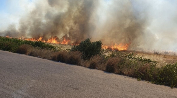 Πυρκαγιά στη Μεγάλη Σπηλιά Λακωνίας