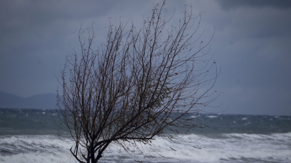 Ισχυρή προειδοποίηση Αρναούτογλου: Έρχεται νέο ψυχρό κύμα - Πότε αναμένεται να «χτυπήσει»