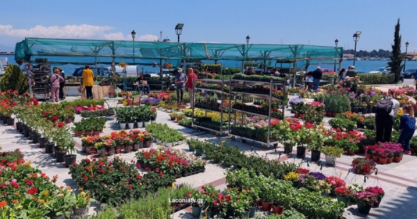 13η Γιορτή Λουλουδιών: Ανθοκομική έκθεση στην Πλατεία Δημαρχείου Γυθείου