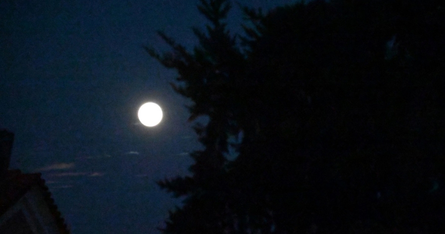 Πανσέληνος των Λουλουδιών: Πότε κάνει την εμφάνισή του το πιο ανοιξιάτικο φεγγάρι