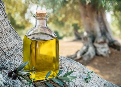 Η διαδρομή του ελληνικού ελαιολάδου: Από τον ελαιώνα της Λακωνίας στο ράφι των 14 ευρώ