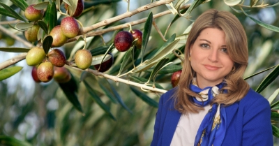 Ν. Γρηγοράκου: Το Τυνησιακό ελαιόλαδο απειλεί τους Έλληνες ελαιοπαραγωγούς