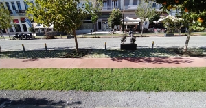 Γράφει ο Β. Μητράκος: Η ταλαιπωρία της Παλαιολόγου