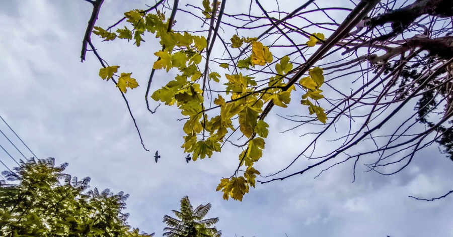 Καιρός: Γενικά αίθριος στη χώρα