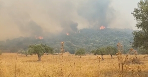 Λακωνία: Πολύ υψηλός κίνδυνος πυρκαγιάς για αύριο