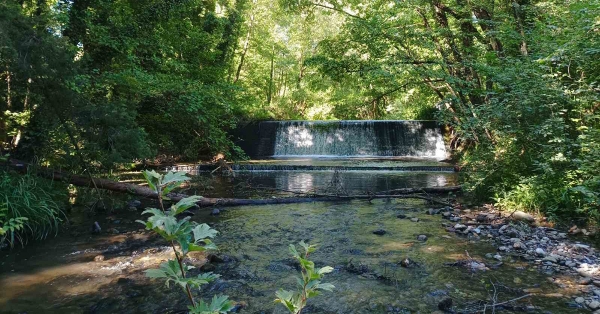 Σπάρτη: Παρουσίαση του έργου CASTOR για τη διατήρηση της ιχθυοπανίδας του Ευρώτα