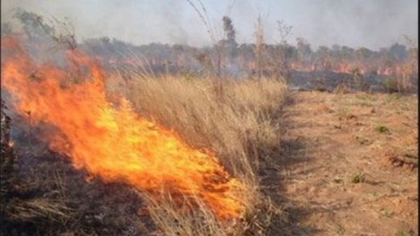 Πρόσληψη είκοσι (20) ατόμων για τις ανάγκες πυρασφάλειας έτους 2024 στο Δήμο Μονεμβασίας