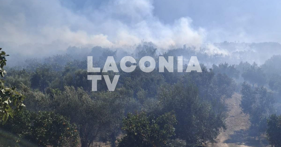 Φωτιά στην Ελαία Μονεμβασίας – Μεγάλη κινητοποίηση της Πυροσβεστικής με 45 πυροσβέστες και εναέρια μέσα