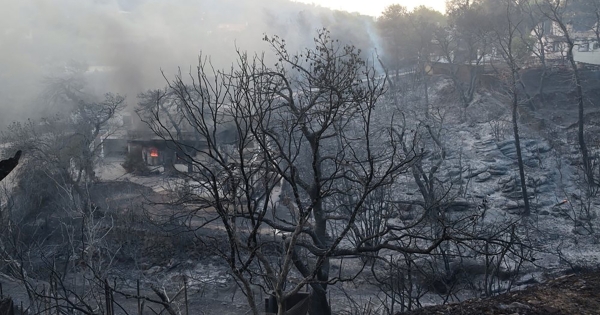 Κορινθία: Σε ύφεση η πυρκαγιά – Τεράστια καταστροφή