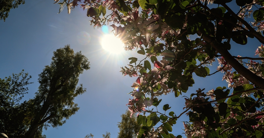 Καιρός: Απόλυτη ανατροπή για το Πάσχα - Μικρό... καλοκαιράκι σε όλη την Ελλάδα