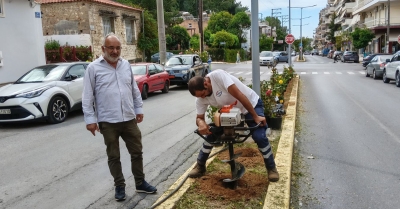 Σπάρτη: Με άρωμα και περισσότερο χρώμα η νησίδα της οδού Αρχιδάμου – Συνεχίζονται οι φυτεύσεις από την Υπηρεσία Πρασίνου