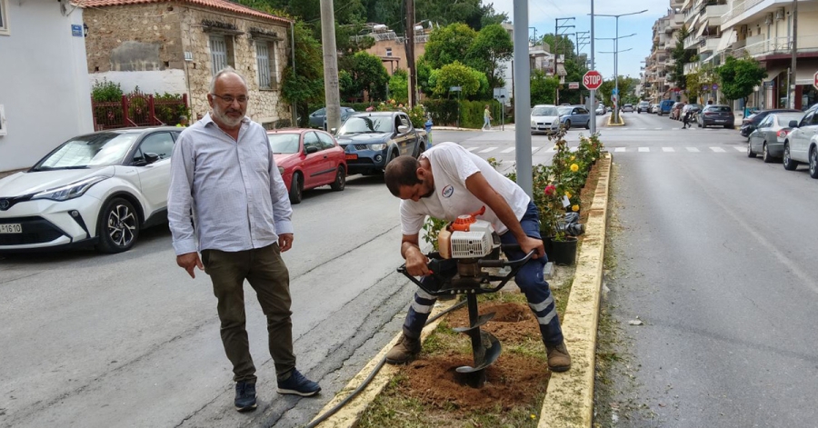 Σπάρτη: Με άρωμα και περισσότερο χρώμα η νησίδα της οδού Αρχιδάμου – Συνεχίζονται οι φυτεύσεις από την Υπηρεσία Πρασίνου