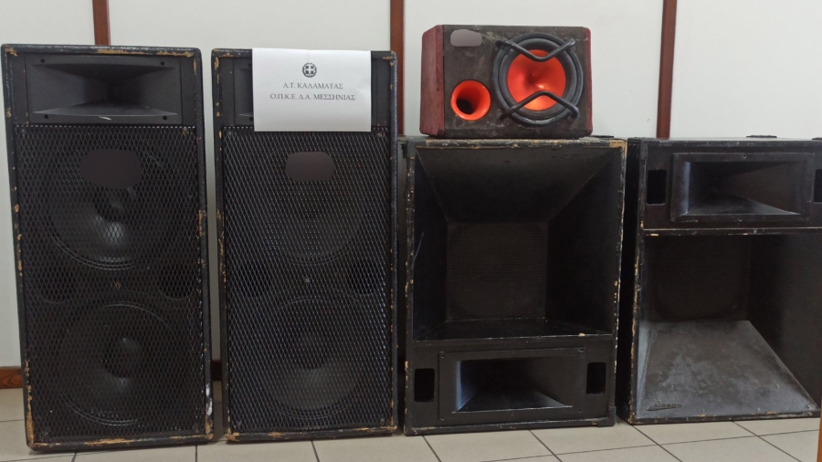 10 συλλήψεις Ρομά στη Μεσσηνία