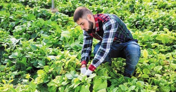 Εγκρίνονται όλοι οι επιλαχόντες του προγράμματος Νέων Αγροτών