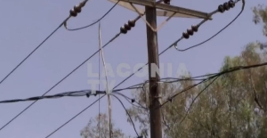 Σπάρτη: Στοχευμένη επιχείρηση της ΕΛ.ΑΣ. με έξι συλλήψεις για ρευματοκλοπή