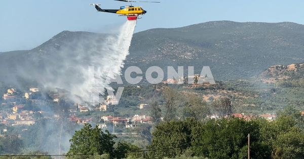 Δείτε βίντεο από τη σημερινή φωτιά στη Σπάρτη