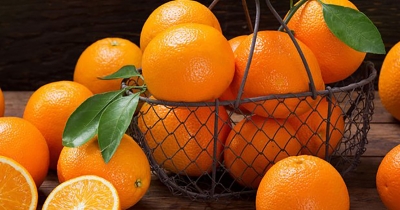 Αυξημένη ζήτηση για πορτοκάλια, καταγγελίες για κοπές μη ώριμων Ναβαλίνων