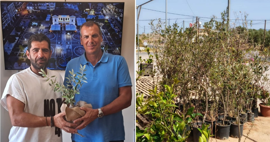 Δωρεά δενδρυλλίων στον Δήμο Σπάρτης από την εταιρία «ΓεωΖωή Παυλάκος»
