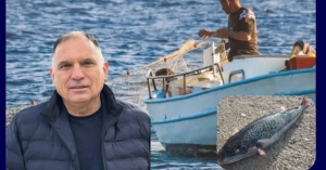 Ν. Κρητικός: «Ανάγκη ολιστικού σχεδίου για την αντιμετώπιση του τοξικού λαγοκέφαλου»