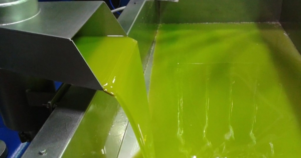 Νέα πώληση ελαιολάδου στα 5,60 ευρώ, πως έλυσε το πρόβλημα του ψηφιακού δελτίου ο συνεταιρισμός Φοινικίου