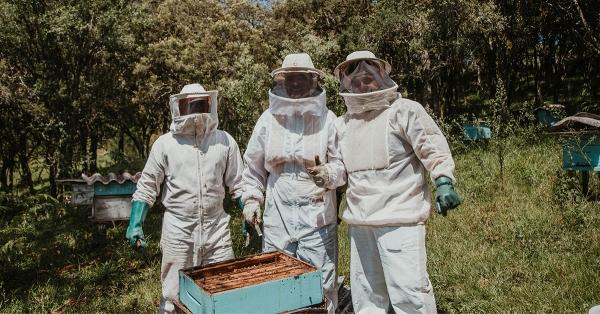 Περιφέρεια Πελοποννήσου: Επιδοτούμενες δράσεις Μελισσοκομίας έτους 2025
