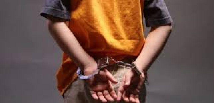 Λακωνία | Σύλληψη 17χρονου με πλούσια δράση σε κλοπές