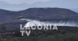 Υπό έλεγχο η πυρκαγιά στην Πλύτρα