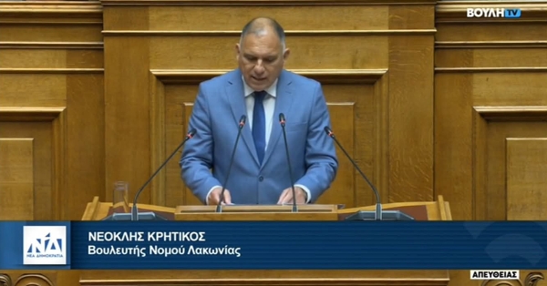 Στην Ολομέλεια ο Ν. Κρητικός για χρεώσεις τραπεζών και Εθνικό Τελωνειακό Κώδικα