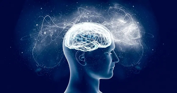 Έρευνες δείχνουν ότι ο εγκέφαλος δεν γερνά από τον χρόνο αλλά από τη ρουτίνα