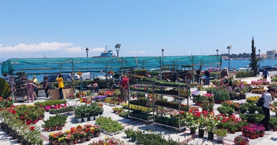 Γύθειο: Γιορτή Λουλουδιών στην πλατεία Δημαρχείου